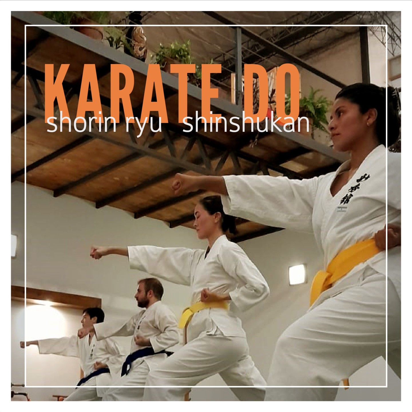 Práctica de Kihon y Kata en Hikari Dojo